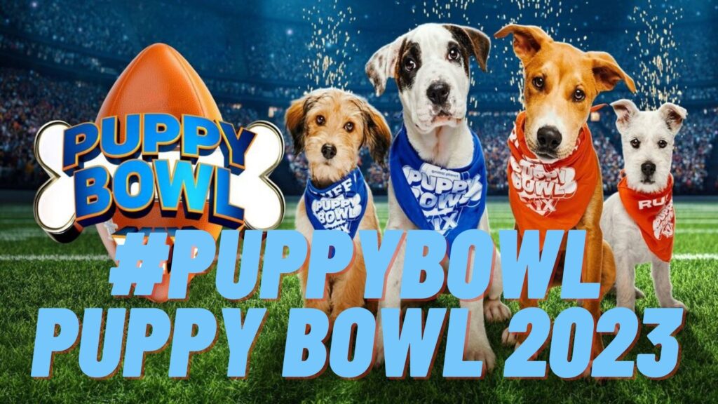Puppy Bowl 2023 Date, Start Time, How to watch Live stream